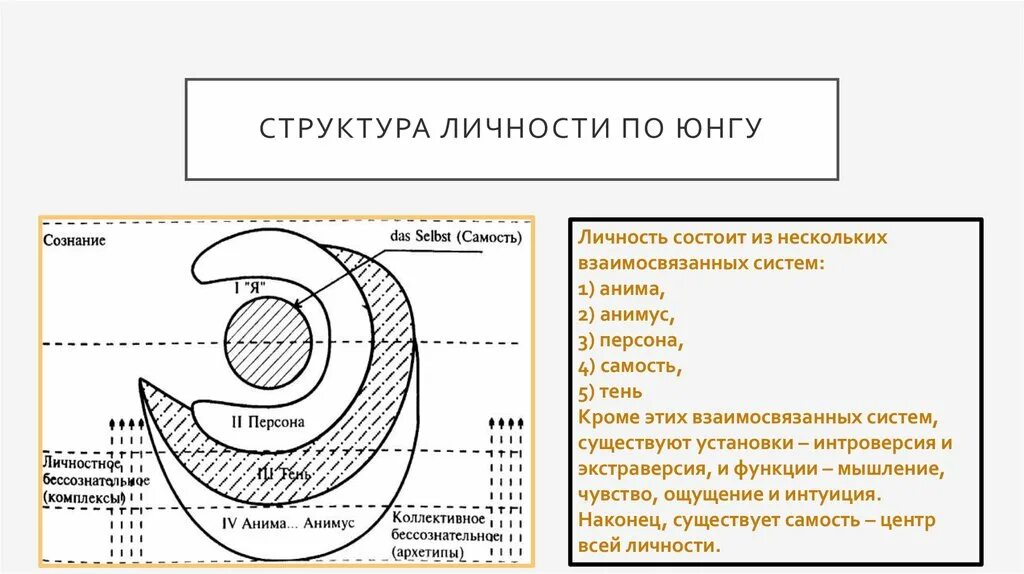 Архетип к г юнга. Юнг схема бессознательное Самость. Теория личности Юнга схема. Структура личности по Юнгу. Аналитическая психология к.г. Юнга. Эго Юнга структура.