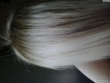 Рябина 246