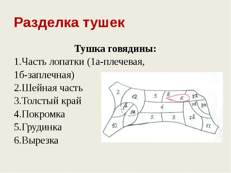 Говяжья разделка. Схема разделки туши говядины на части. говядина схема разруба говяжьей туши. покромка говядины схема. разделка туши говядины схема.