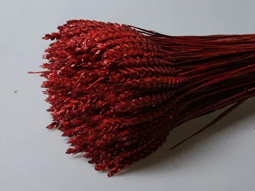 Red wheat. поле с колосьями. поле с колосками пшеницы. маки и колоски. поле пшеница с маками.