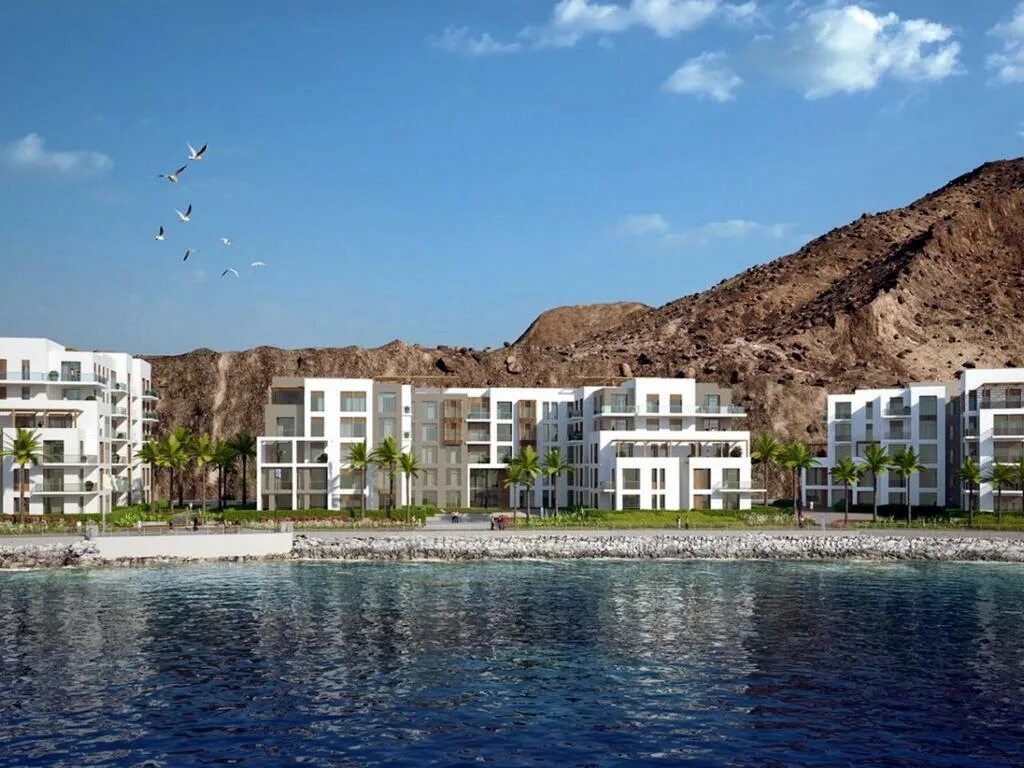 Address фуджейра. Address Beach Resort Fujairah. Фуджейра address Beach. Address Beach Fujairah 5*. Fujairah / address Beach Resort Fujairah 5.