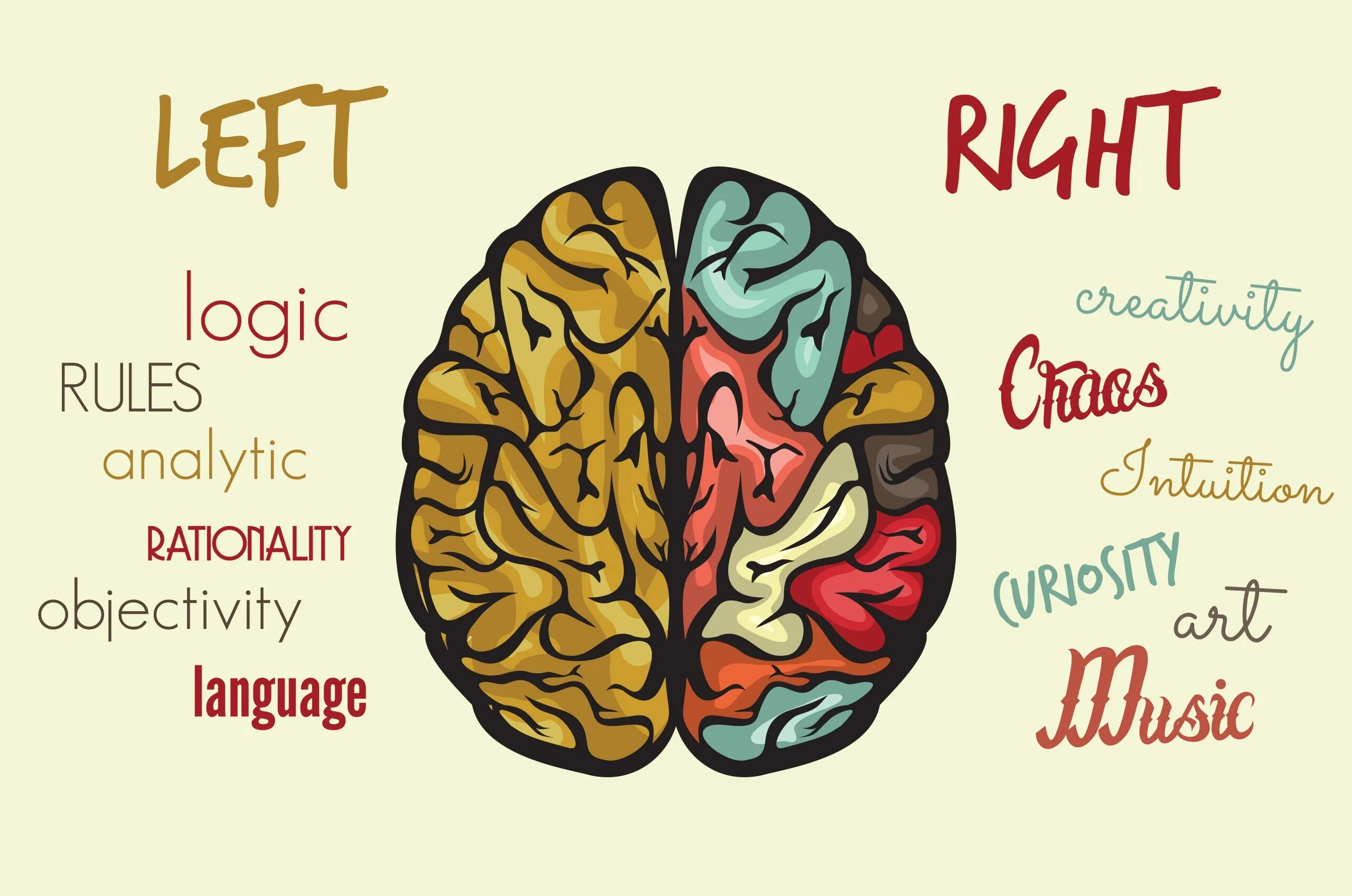 Teach me and i remember. Little birds can remember. Мозг логика. I can remember. Remember i love you.