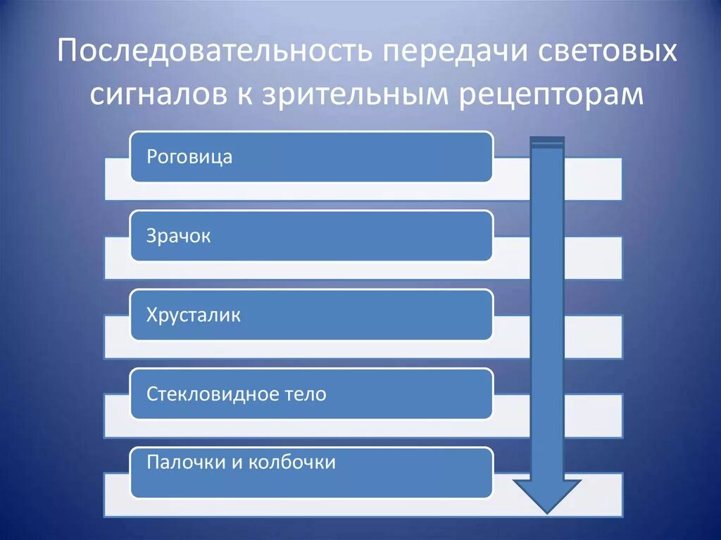 Передаваемая последовательность сигналов. Последовательность передачи светового сигнала по структурам глаза. Передача световых сигналов к зрительным рецепторам. Последовательность зрительного рецептора. Последовательность передачи зрительный рецепторов.