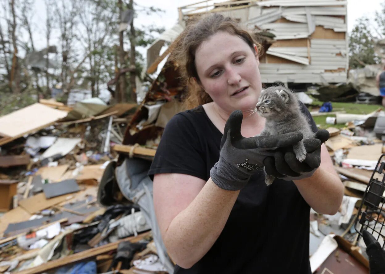 Приют наш дом в челябинске. Экологическая катастрофа животные. Животное попало в трясину. Девушка ослица. Николь грэм и ее лошадь.