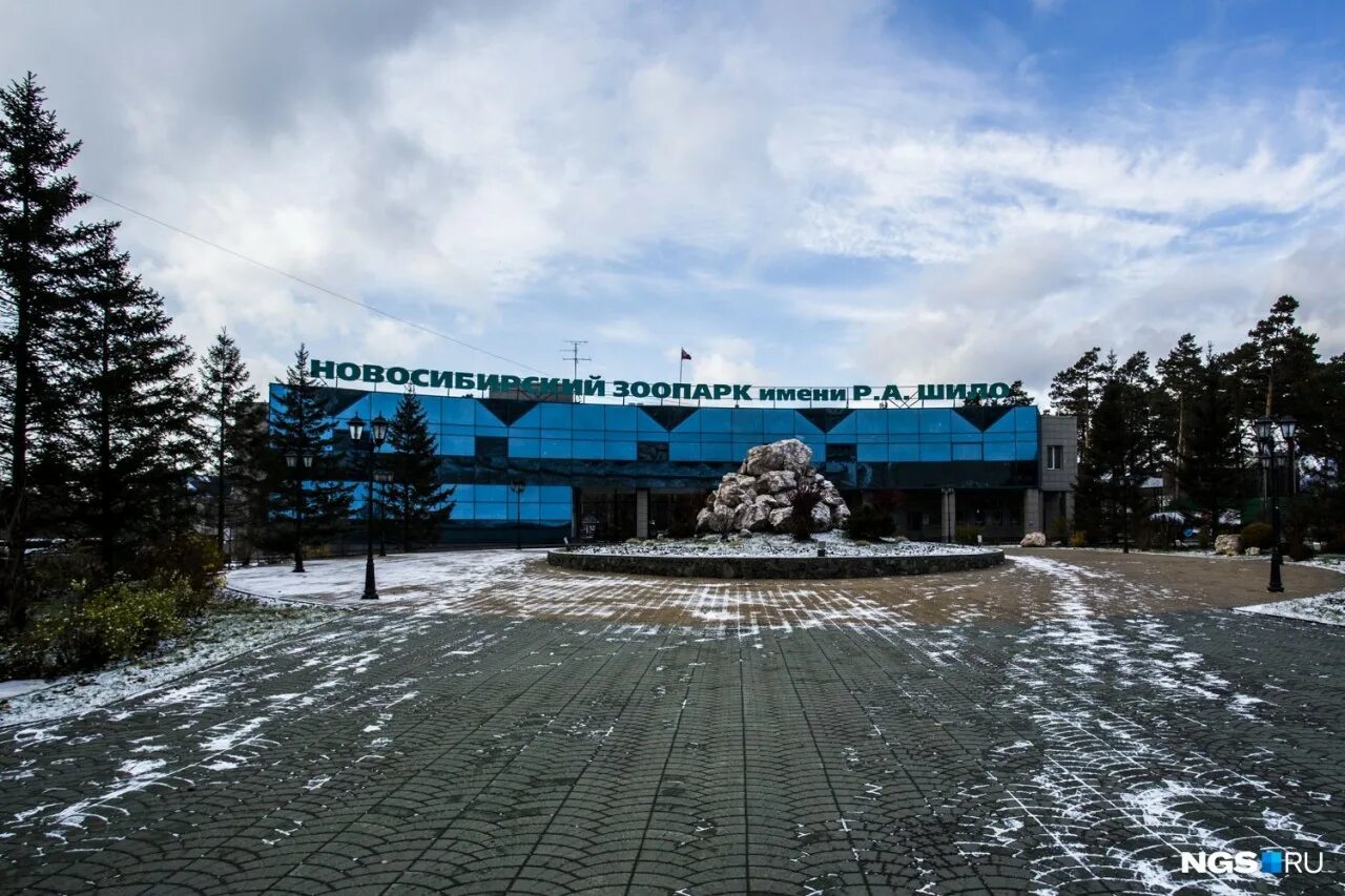 Достопримечательности новосибирска зоопарк. Новосибирский зоопарк сейчас. Шило, новосибирск животные. Площадь зоопарка в новосибирске. Зоопарк имени шило новосибирск.
