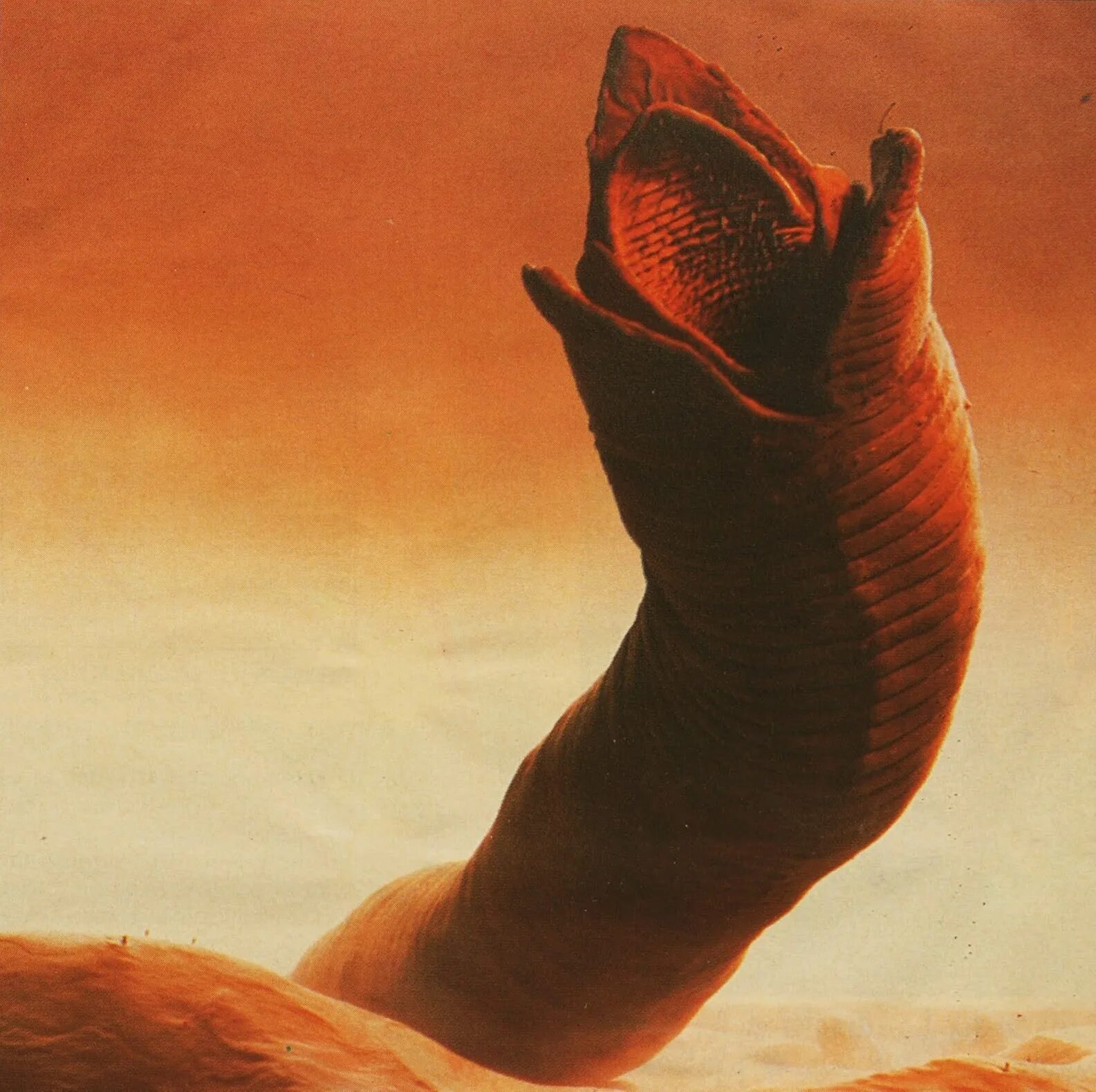 Дюна червяк. Песчаный червь Дюна 1984.