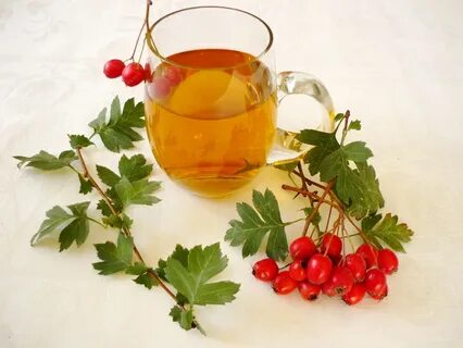 Боярышник настойка вред
