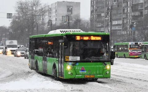 224 автобус маршрут