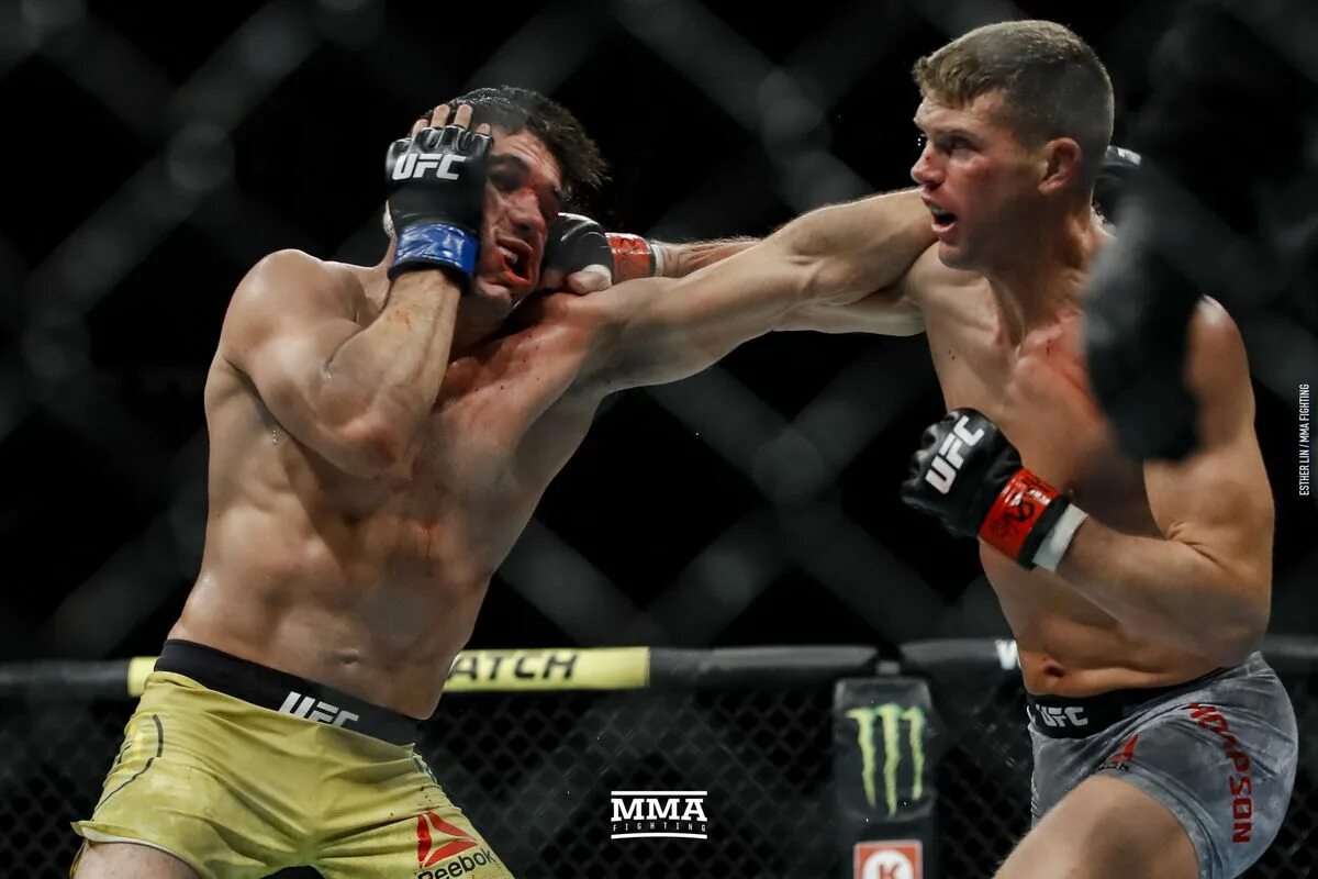 Стивен томпсон ufc. Томпсон вукич прогноз. Стивен томпсон образование. Стивен томпсон. Стивен вандербой томпсон.