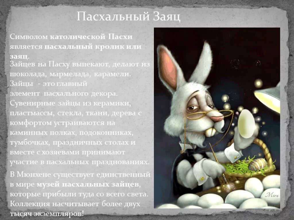 Заяц-русак. Зайцеобразные заяц русак. Откуда зайцы взялись. Откуда зайцы взялись. Размножение зайца.