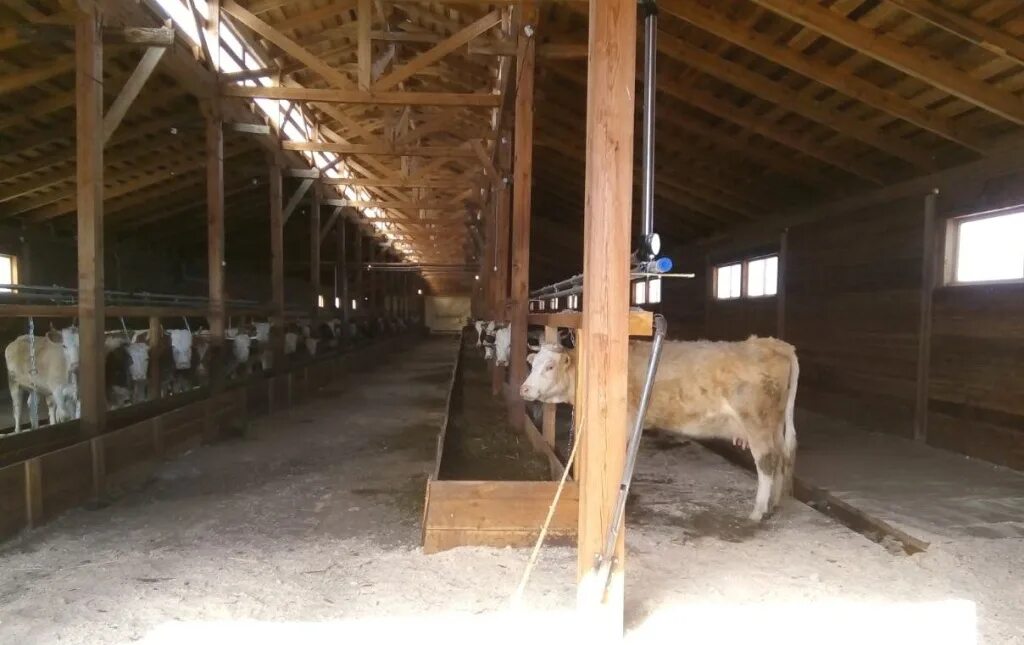 Vladimir farm community. фермы владимира. пакгаузы на стрелке нижний новгород павильоны. ферма для фарма биткоинов в унтурнед. семейная молочная ферма.