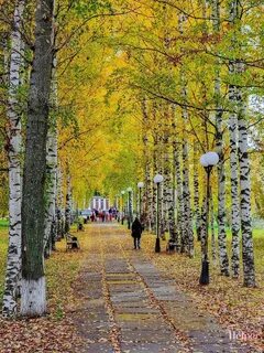 Аллея котлас
