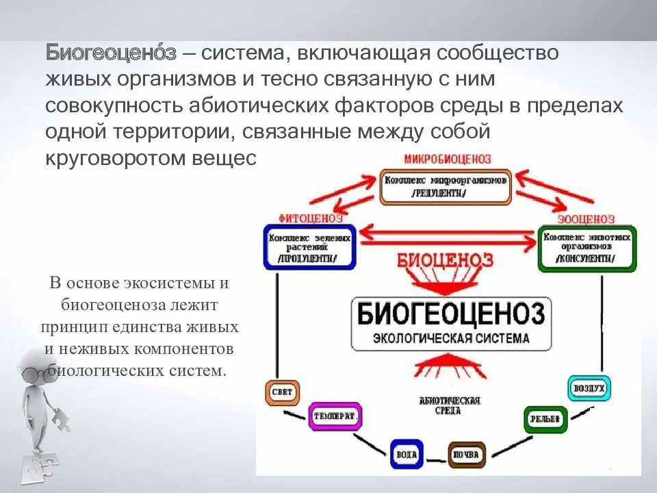 Неразрывно связаны между собой. Биогеоценоз это система включающая сообщество живых организмов. сообщество живых организмов и тесно связанных с совокупностью. характеристика человека в системе живых организмов. компании связанные между собой.