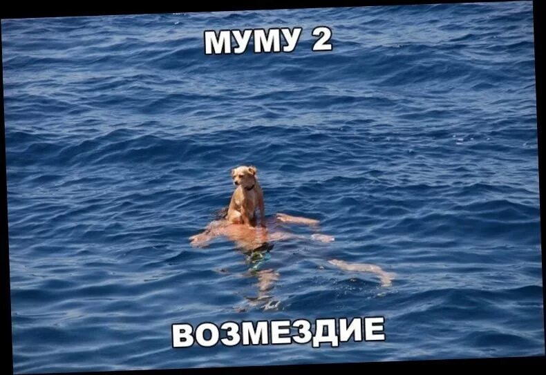 Муму 2 возмездие. Фильм му-му 2 Возмездие. Муму 2 Возмездие фильм. 2 Муму Возмездие Муму. Мум Возмездие 2