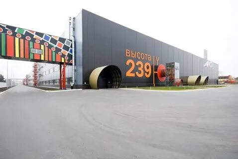 Высота 239