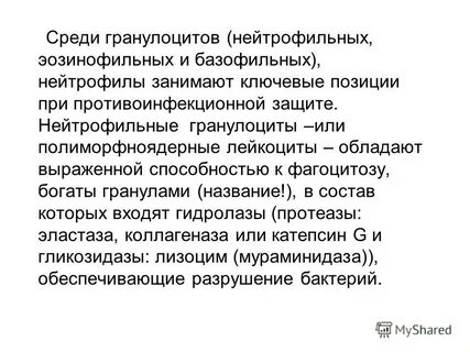 Нейтрофильные гранулоциты