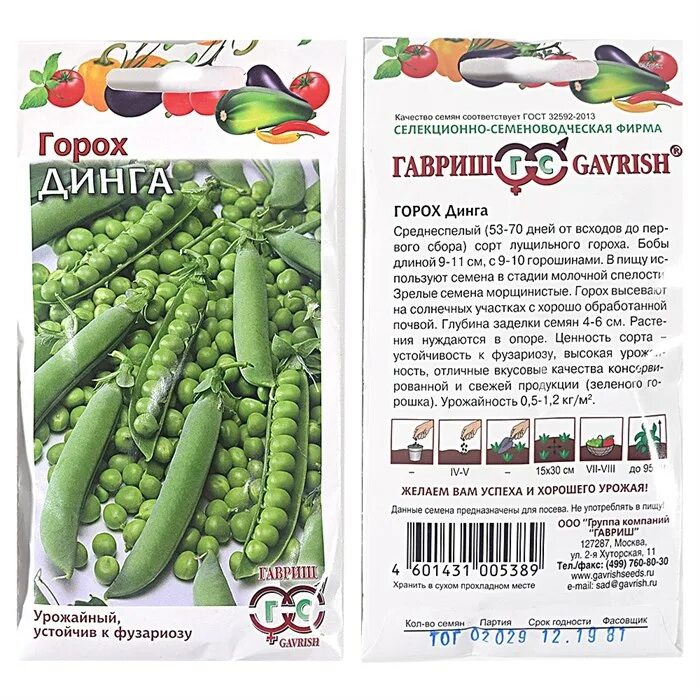 горошек зеленый семена. название горошка. горох сахарный семена. лущильный мозговой сахарный горох. спаржевый горох сорта.