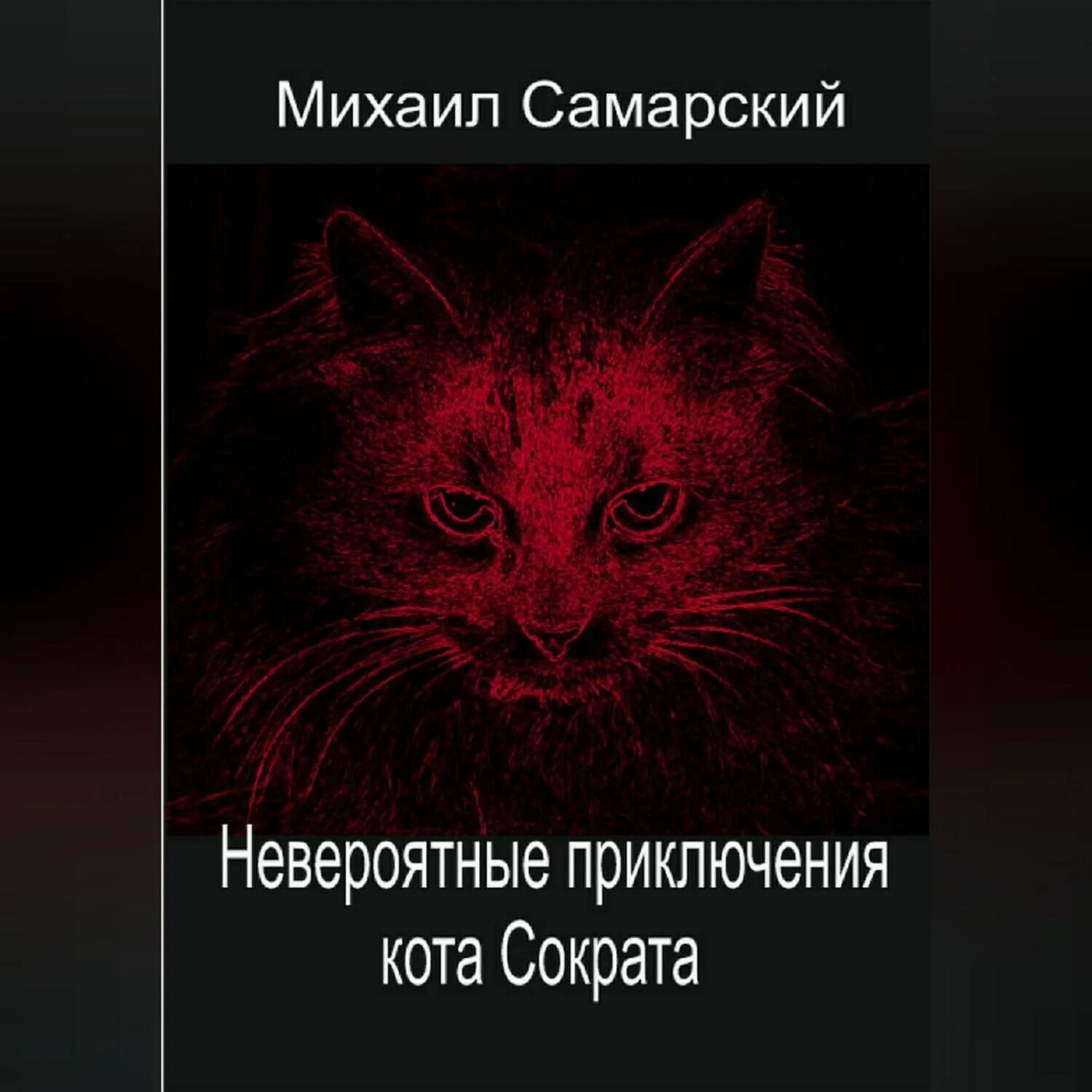 Самарский невероятные приключения кота-Сократа книга. Самарский кот Сократ книга обложка. Кот сократ книга