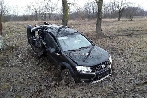 Грайворон белгородская новости на сегодня происшествия