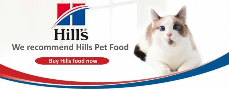 Cat Hill's icon for presentation. Agree's for Pets. Hills pet