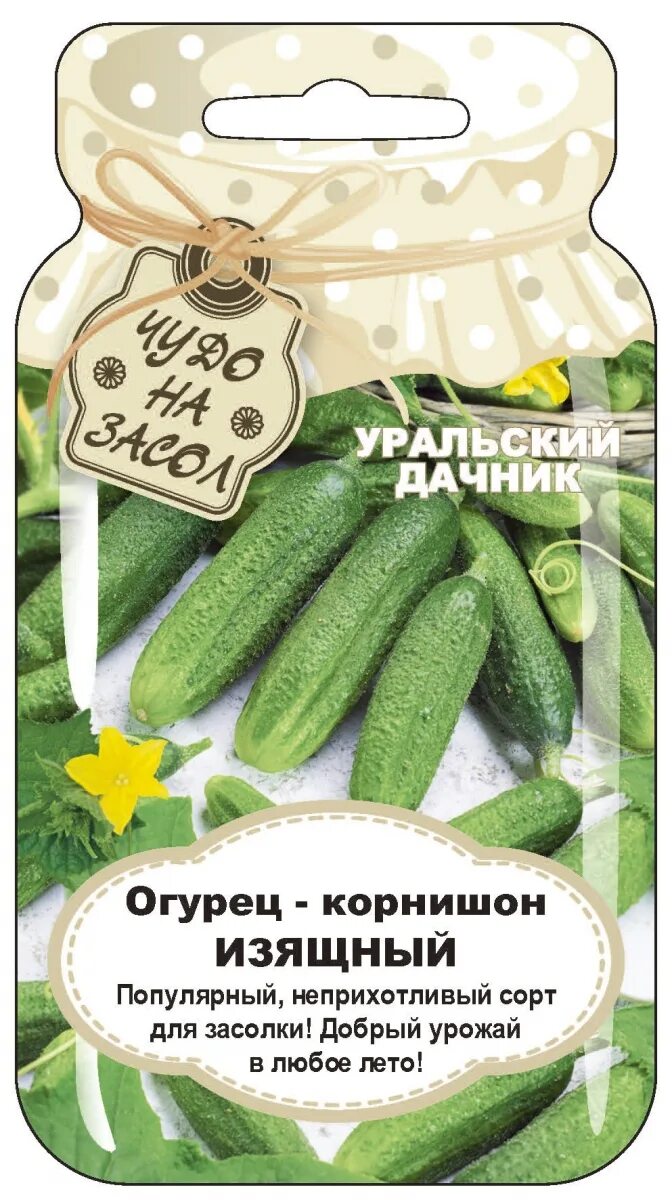 Огурец изящный описание сорта. Огурец изящный. Огурец изящный фото. Семена алтая огурец изящный. Огурцы престиж описание сорта.