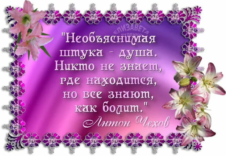 Необъяснимая душа. Необъяснимая штука душа. необъяснимая штука душа никто не знает где. необъяснимая штука душа никто не знает где находится но все знают. чехов необъяснимая штука душа.
