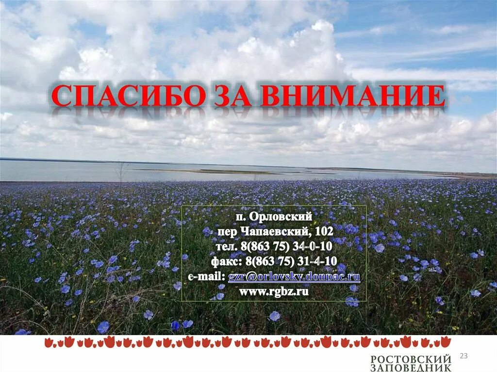 Притоки маныча