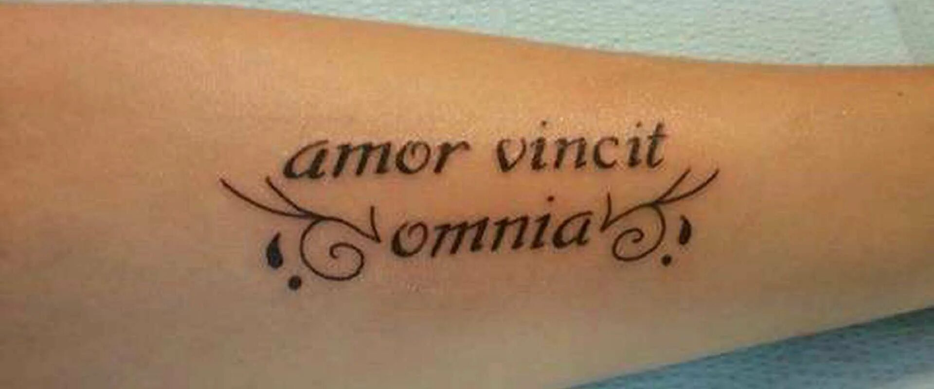 Vincit qui se vincit тату эскиз. Bis vincit qui se in victoria тату. Vincit qui se vincit тату эскиз. амор фати тату эскиз. Vincit qui.