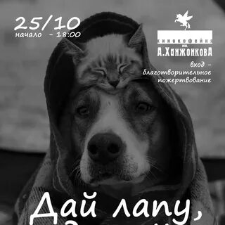 Дай лапу друг