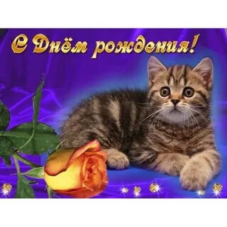С днем рождения женщине с котиками