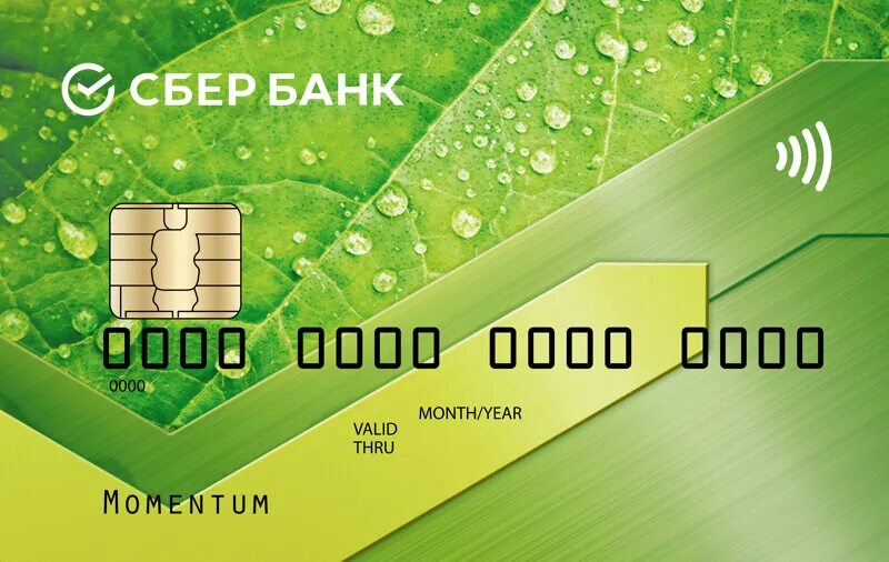 Карта сбербанка. Банковская карта visa. Кредитная карта. Банковская карта visa. Дебетовая карта сбербанка.