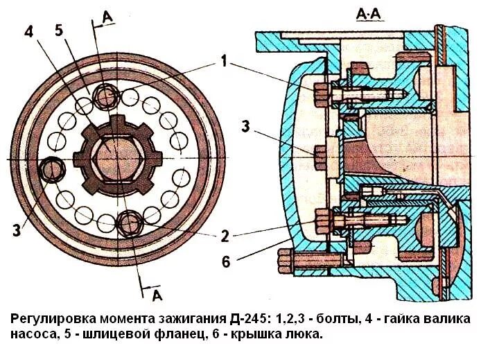 1. схема привода топливного насоса двигателя д 243. крышка регулировки зажигания мтз 80. шестерни зажигания мтз 80. метки зажигания мтз 80.