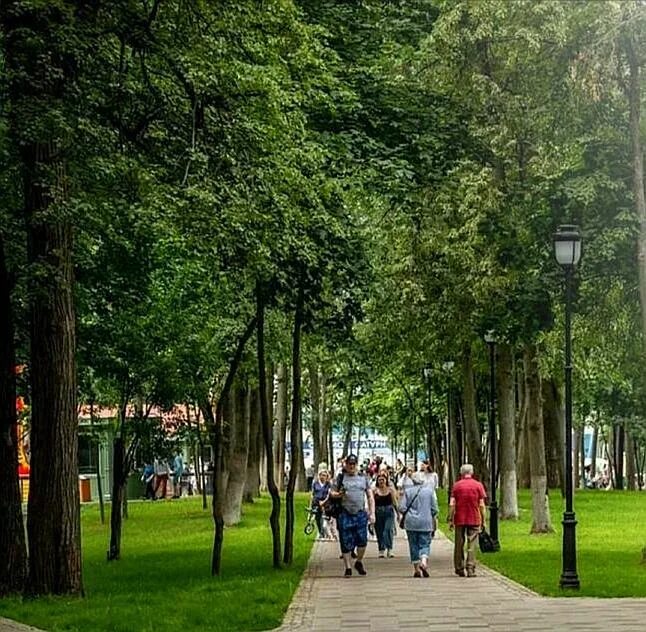 уличные силовые тренажеры стадион труд. добрый дом раменский. психиатрическая больница денежниково. дпни денежниково. динамо стадион уличные тренажеры.