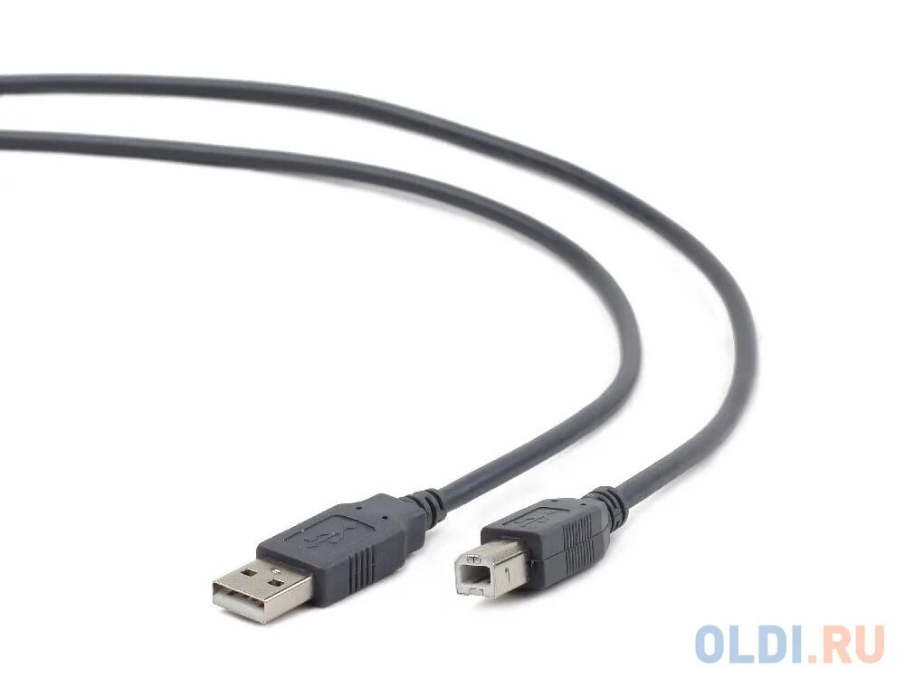 Купить usb новосибирск. Кабель соединительный USB2.0 am-BM 1.8М Cablexpert (CCP-usb2-AMBM-6g), экран, серый. Кабель для принтера USB 2.0 A-B 1.5М. Кабель Bion USB 2.0 am/BM. Кабель соединительный USB2.0 A-B Cablexpert 1,8м.