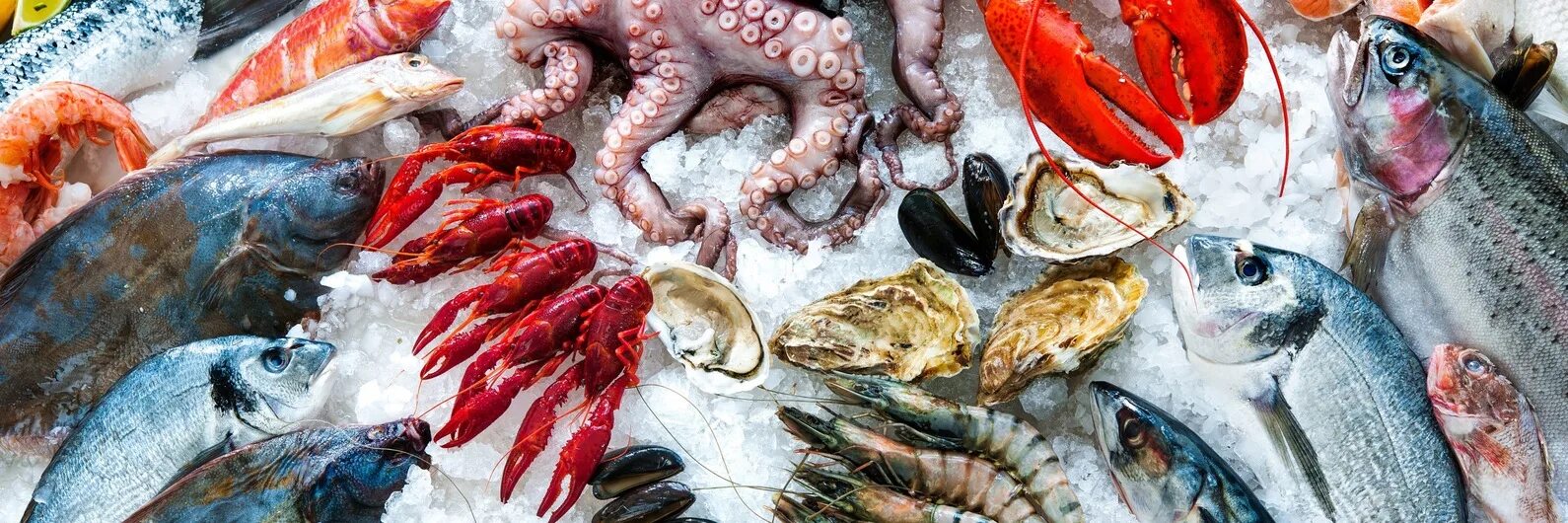 Рыба и крабы нижний. Морепродукты. Рыбная продукция. Морская рыба и морепродукты. Свежая рыба.