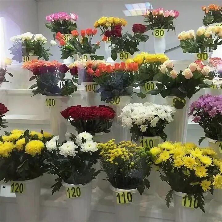 Нижний тагил цветы недорого. Вальс цветов саранск цветы. Нижний тагил цветы недорого. Цветы нижний тагил. Нижний тагил цветы недорого.
