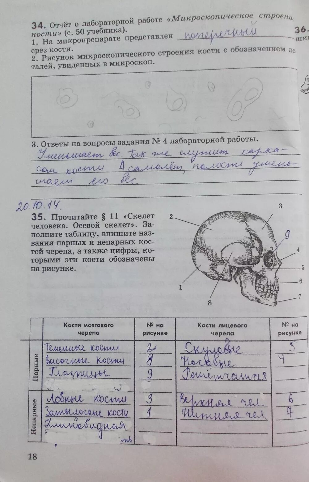 Лабораторная работа 9 по биологии 8 класс. Лабораторные по биологии 8 класс. Задания по биологии 8 класс. Лабораторная работа по биологии 8 класс. Практическая по биологии 8 класс.