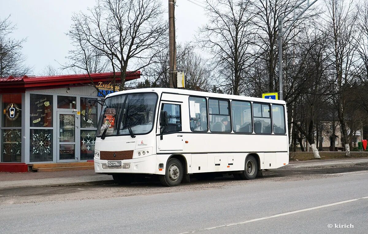автобус 124 рощино