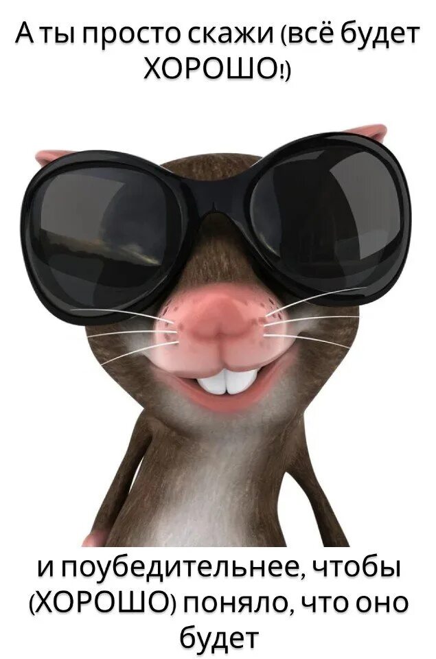 Крыса в очках. Мышь в очках. Крыса с очками. Прикольный аватар.