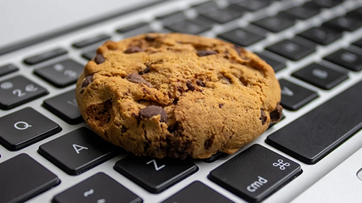Файлы cookie. Файлы cookie. Чем опасны куки. Файлы кукис. Cookies на сайте.