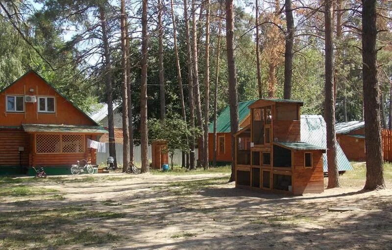 Муранские турбазы. Муранский бор турбаза шигонский. Муранские турбазы. Метров. Муранские турбазы.