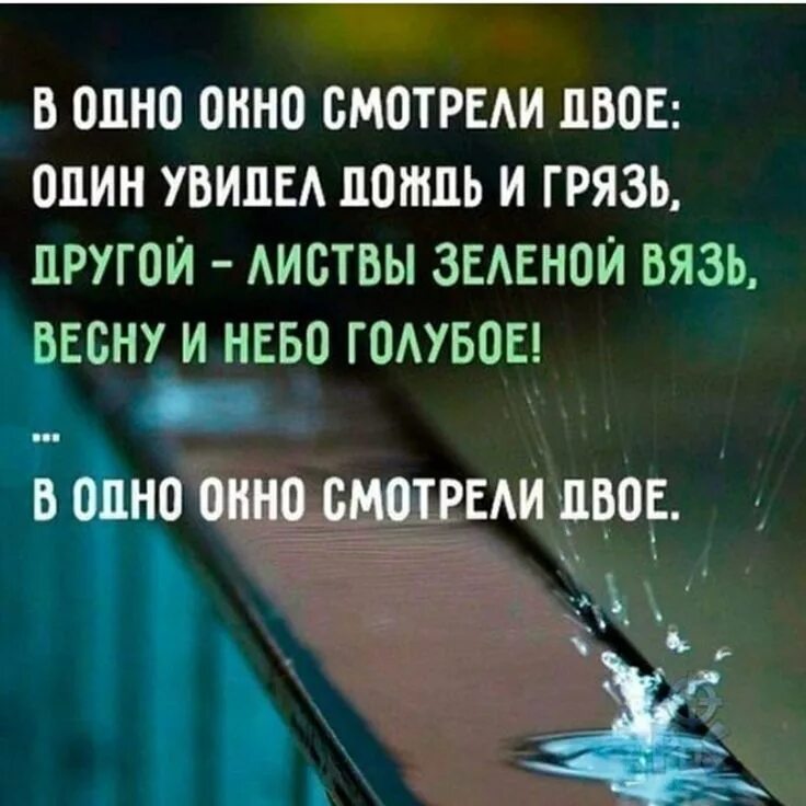 Дождь цитаты. Цитаты про дождь. дождь фразы цитаты. один увидел дождь и грязь другой листвы зеленой. про дождик высказывание.