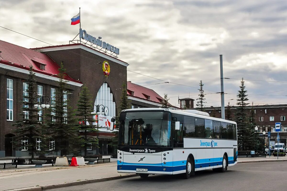 Зеленоградск-транс Калининград. Автобусы Зеленоградск транс. Автобусная база Зеленоградск транс Московский. Автобус Vest contrast.