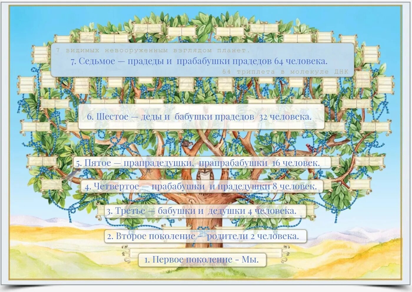 плакат генеалогическое древо. семейное дерево. плакат родословное дерево. генеалогическое древо на холсте. плакат генеалогическое древо.