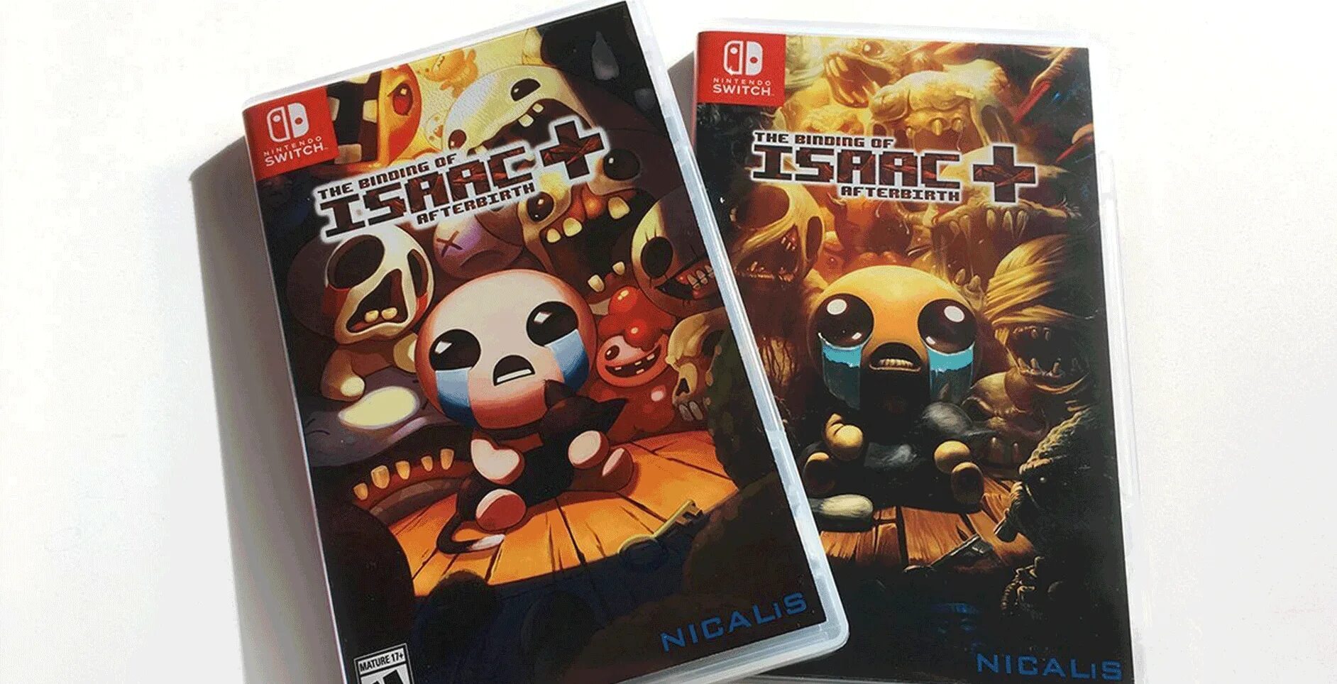 Isaac nintendo. Айзек Нинтендо свитч. The Binding of Isaac на Нинтендо свитч. Isaac Repentance Nintendo Switch картридж. TBOI Nintendo Switch.