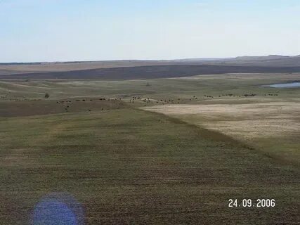 Степь сейчас