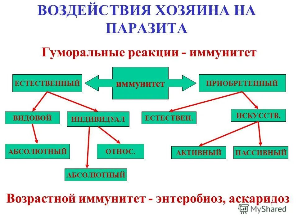 реакции хозяина на паразита. реакции хозяина на паразита. взаимоотношения паразита и хозяина. реакции хозяина на паразита. воздействие паразита на хозяина.