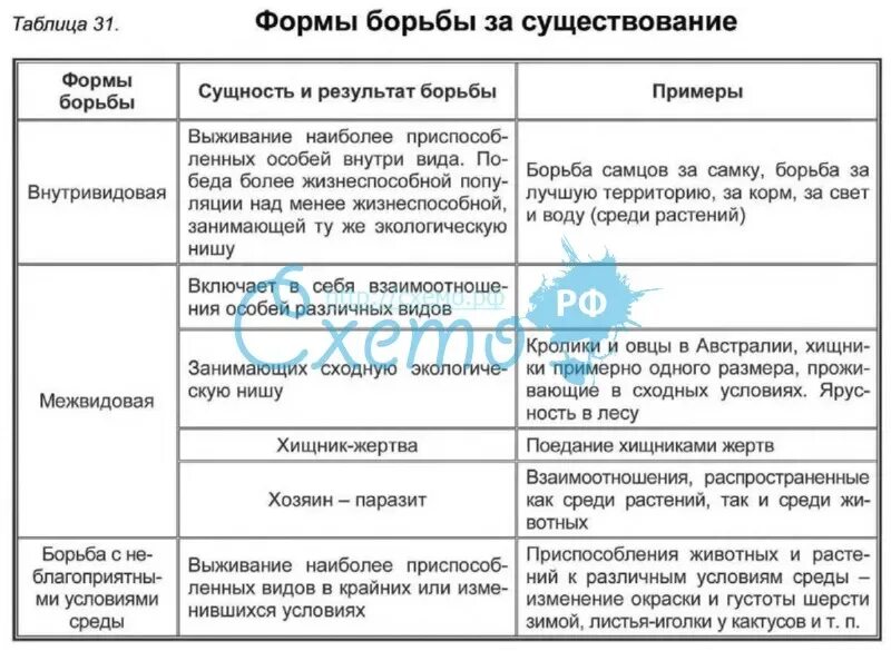 Формы борьбы за существование. Таблица по биологии формы борьбы за существование. Характеристика форм борьбы за существование таблица. Виды борьбы за существование таблица по Дарвину. Форма борьбы внутривидовая таблица.