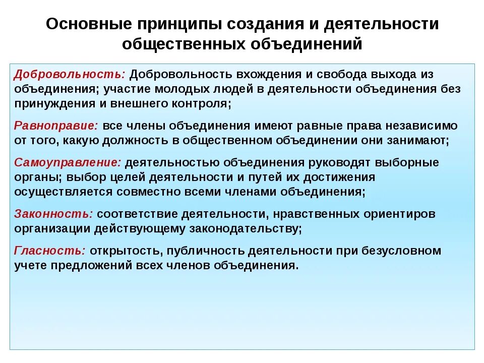 Принципы деятельности общественных объединений. Принципы создания общественных объединений. Цели деятельности общественного объединения. Принципы работы детской общественной организации. Предприятия учреждения и общественные объединения