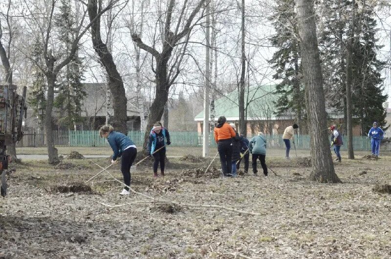 Сельские огни